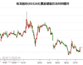 松发股份,跨界并购与转型造船业的挑战与机遇