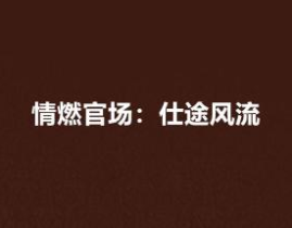 情燃官场全文免费阅读,权谋风云下的爱恨情仇