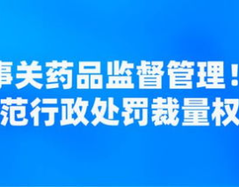 药品监督管理,保障公众用药安全与质量的法治实践