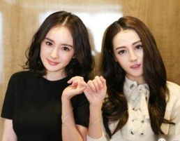 多女主的娱乐圈小说,娱乐圈多女主的璀璨人生